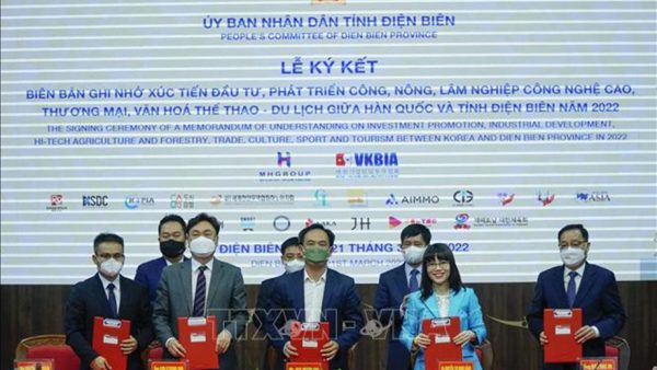 VKBIA xúc tiến thu hút doanh nghiệp Hàn Quốc đầu tư vào Điện Biên
